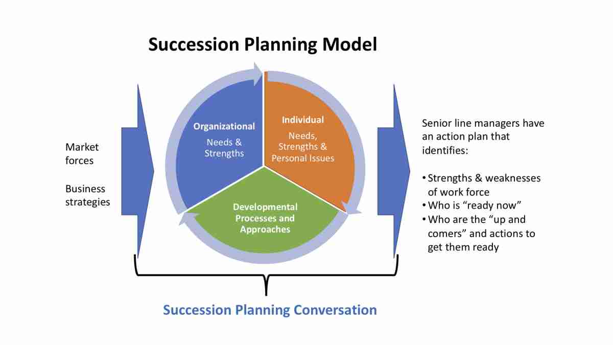 Succession Planning Process Model