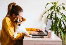 a woman working on a laptop while holding her puppy in her lap