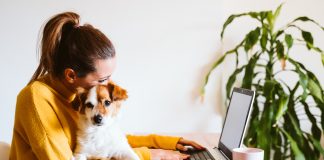 a woman working on a laptop while holding her puppy in her lap
