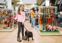 4 Tips for Training New Staff Members at Your Pet Store